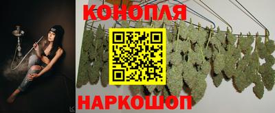 хмурый Сланцы