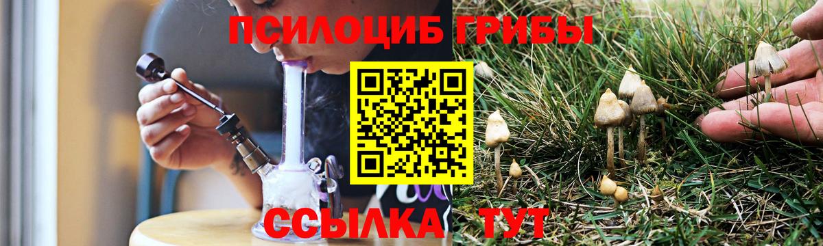 Псилоцибиновые грибы MAGIC MUSHROOMS  Псилоцибиновые грибы мицелий  Наро-Фоминск  Вход с VPN 