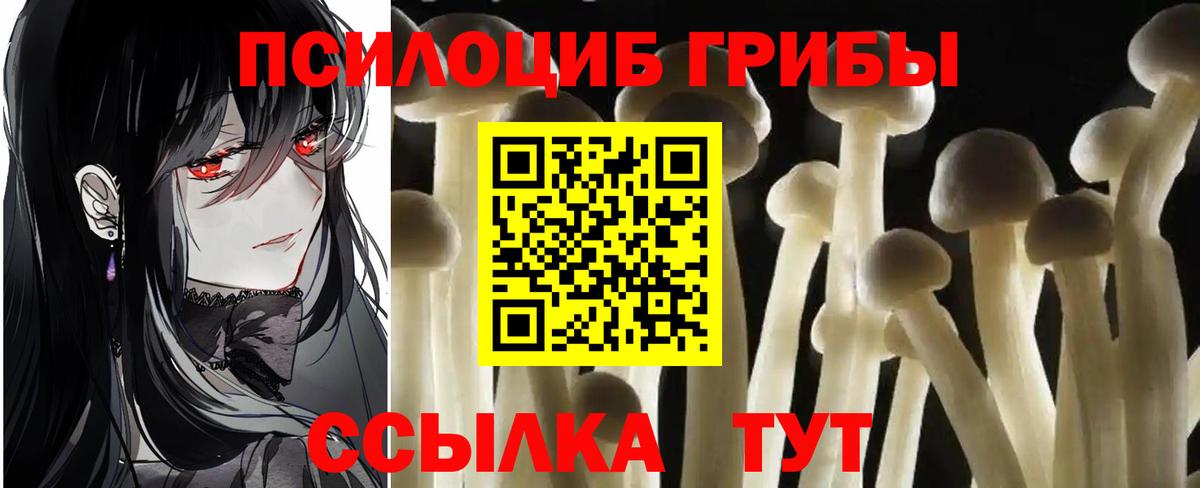 Галлюциногенные грибы Magic Shrooms Наро-Фоминск